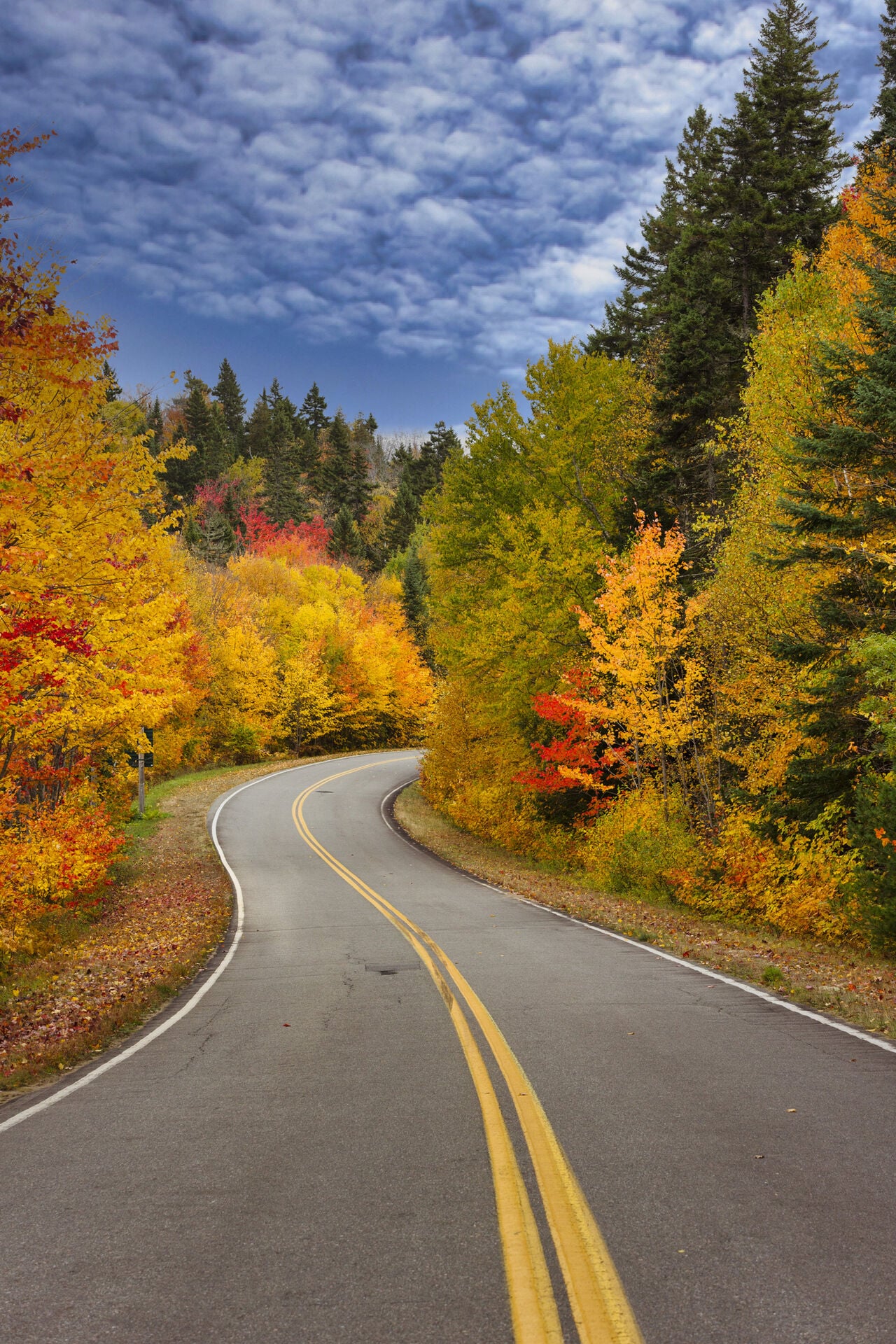 Parc national de la Mauricie