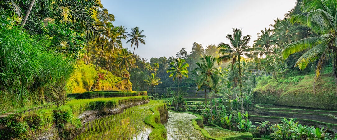 Ubud