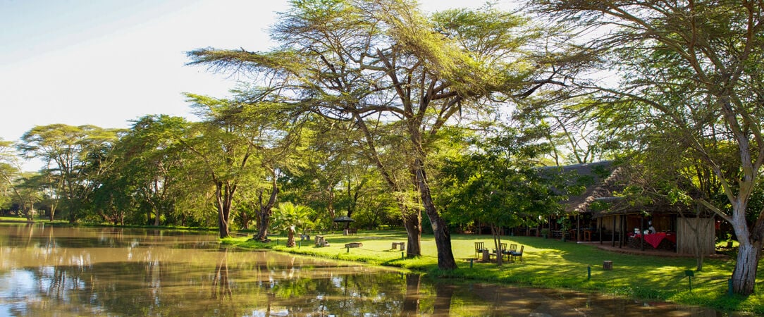 Safari Tsavo Ouest
