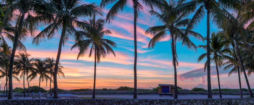 Voyage au cœur des merveilles de Floride